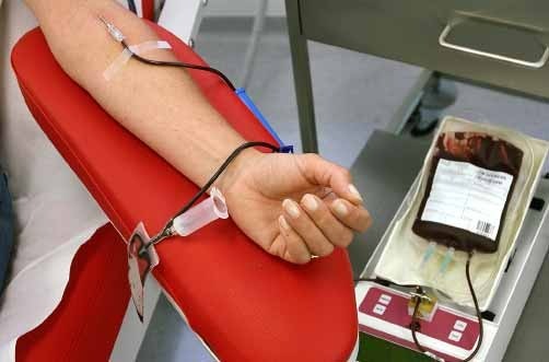 Celebran Día Mundial del Donante de Sangre