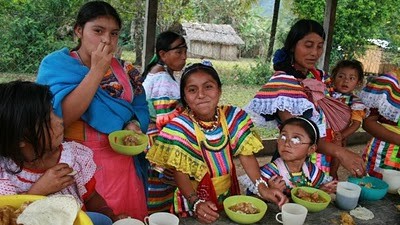 Brindan asesorÃ­a jurÃ­dica a comunidades indÃ­genas