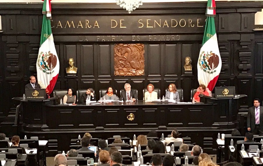 Una Asamblea Constituyente con incontinencia parlamentaria