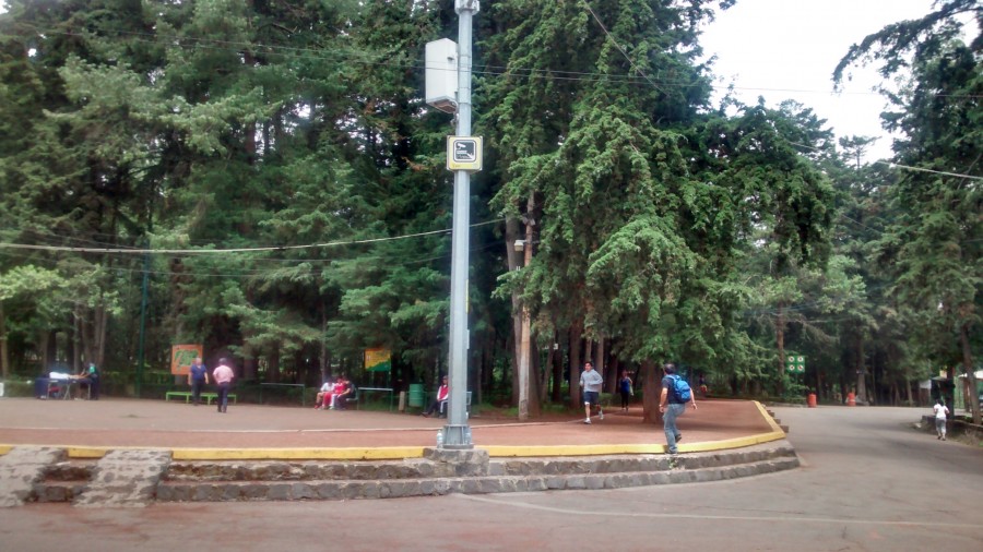 Bosque de Tlalpan es administrado por Medio Ambiente: delegación