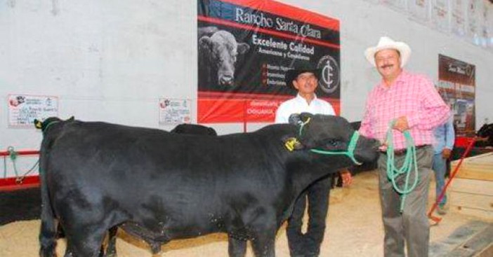 Desarrollo Rural asegura ganado al exgobernador César Duarte