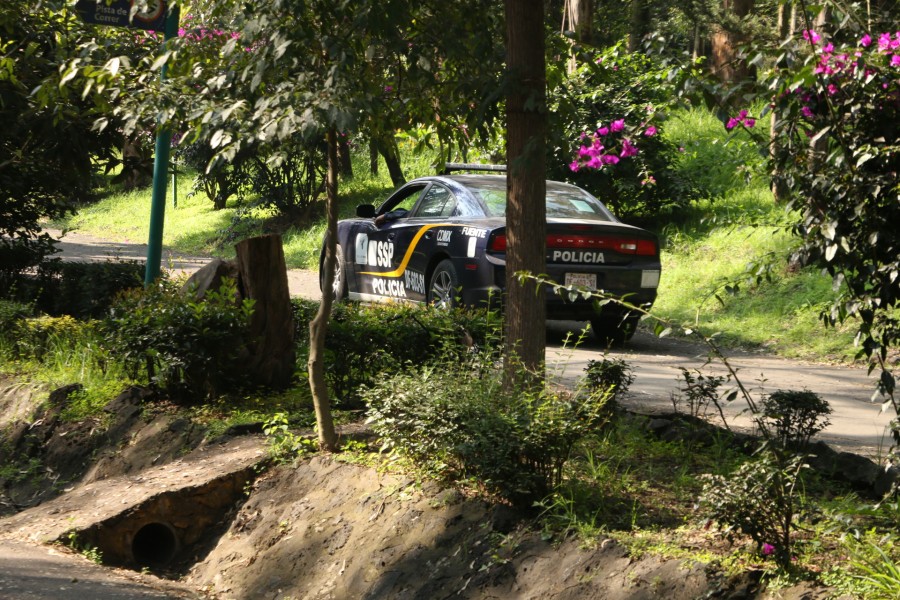 Extiende SSP operativo en el Bosque de Tlalpan