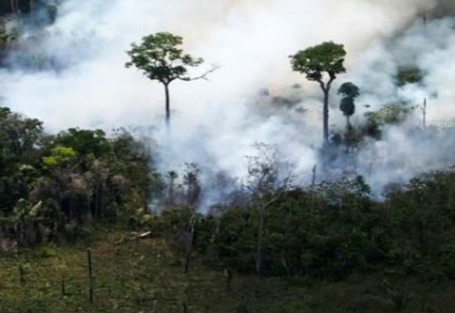 Lleva selva Amazonas 16 incendiándose