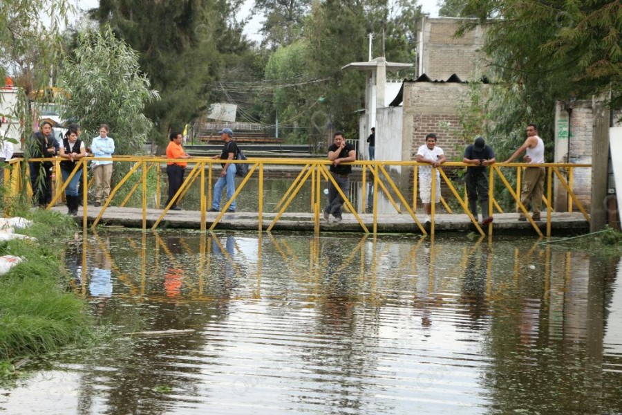 Fuertes lluvias acaban con producción de plantas en Xochimilco; autoridades aseguran reparar daños