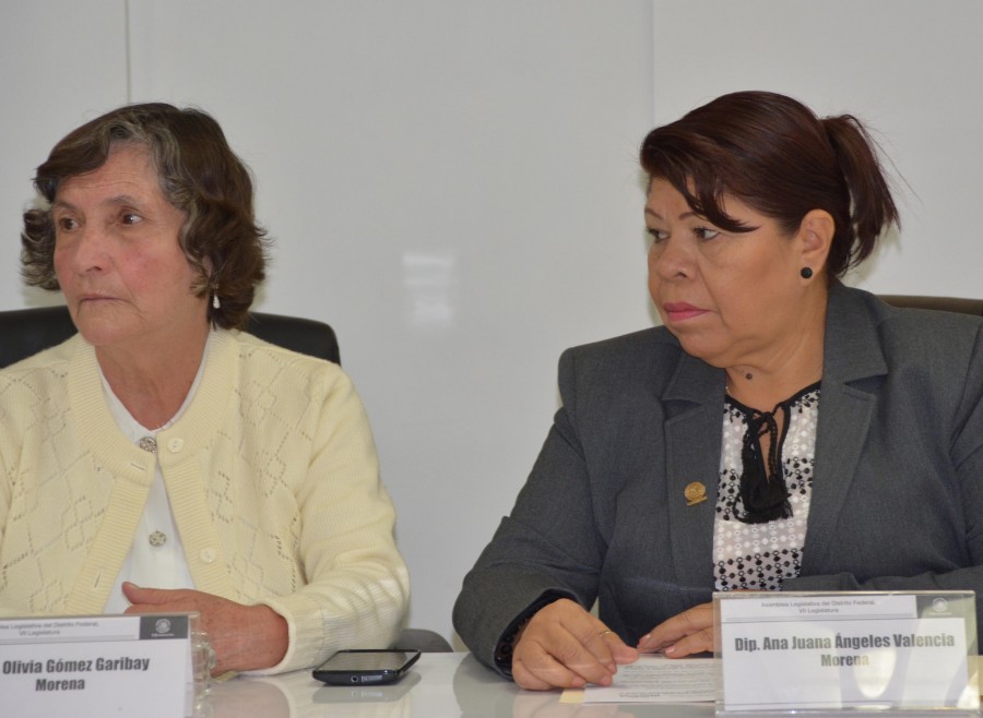 Busca Morena reorientar la pensiÃ³n de Adultos Mayores