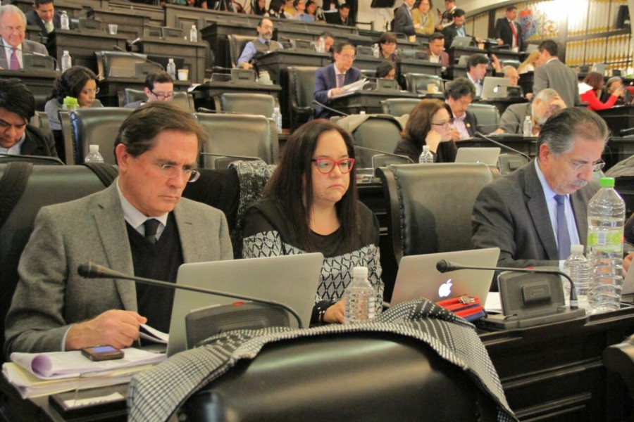 En temas de reparto del poder, los diputados constituyentes muestran el cobre