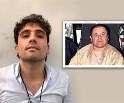 Denuncia PAN a AMLO ante la FGR por liberación del hijo del Chapo